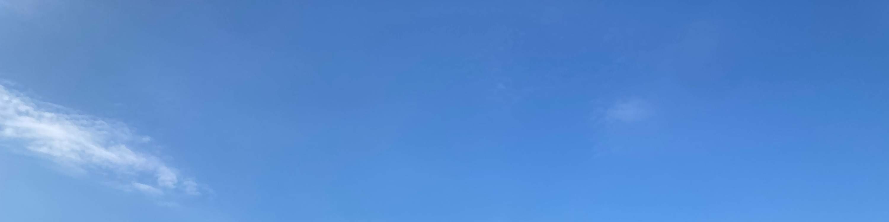 廣島春季早間徒步之旅 & 露天茶道