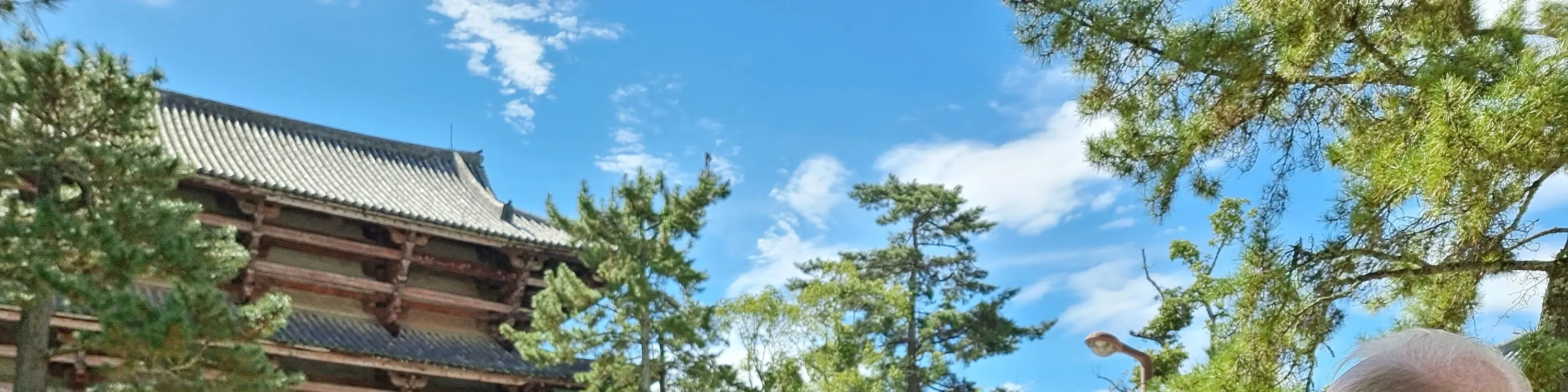 东大寺大佛殿和奈良町啤酒厂徒步之旅与品尝（奈良）