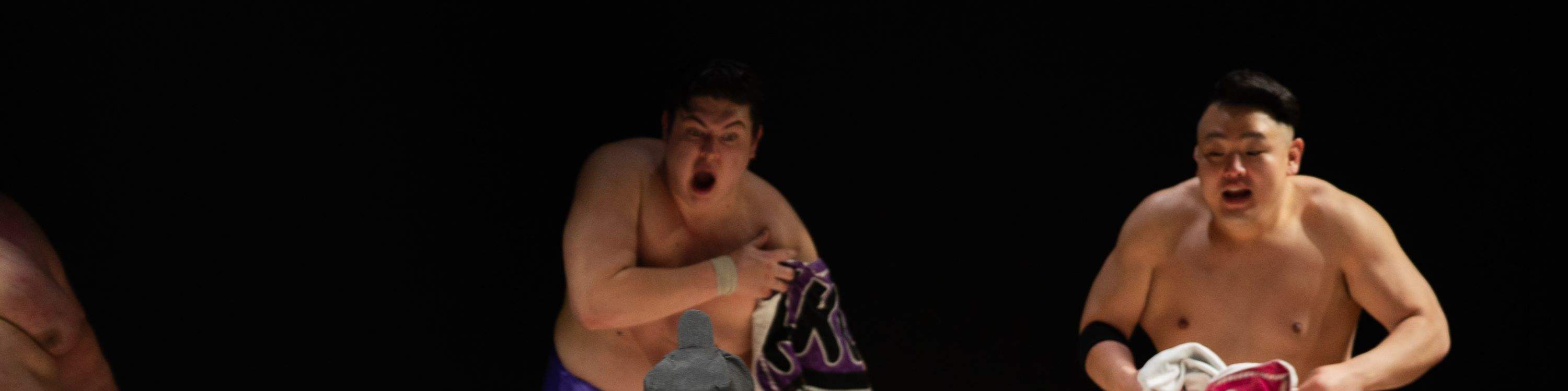 Входной билет в THE SUMO HALL HIRAKUZA OSAKA (Осака)