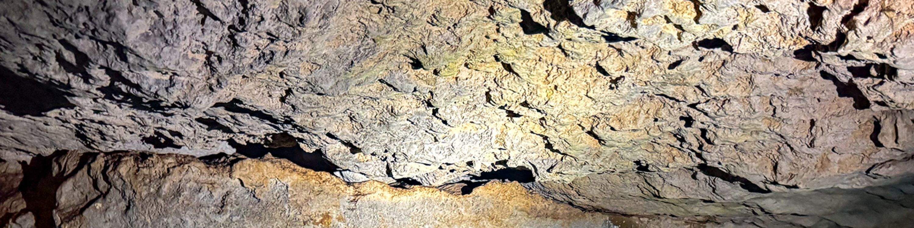 Тур к руинам майя Тулума и Кобы с плаванием в сеноте и сноркелингом в Мексике