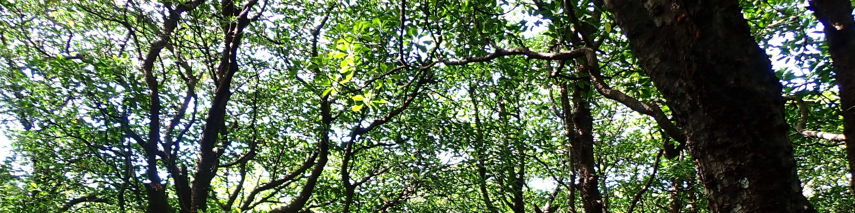 在陰涼處稍作休息