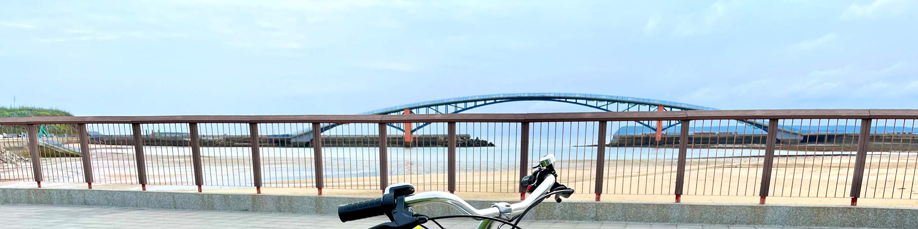 ประสบการณ์การขับขี่จักรยานไฟฟ้า Little Lark