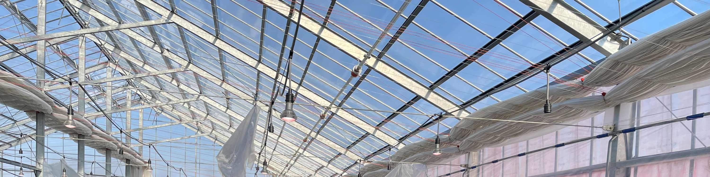 ประสบการณ์เก็บและเปรียบเทียบรสชาติสตรอว์เบอร์รีในฤดูหนาว (บริเวณใกล้เคียงซัปโปโร)