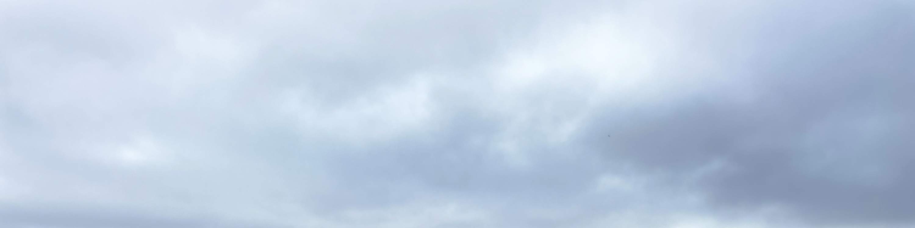 Anda dapat menikmati makanan khas dan cita rasa lokal.