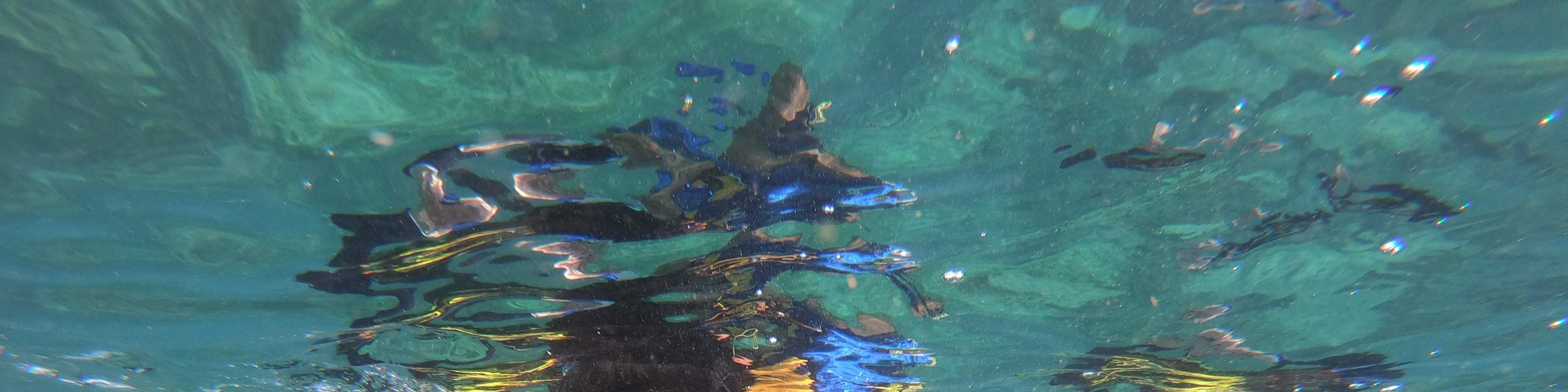 Turtle Island, Glass Bottom Boat, Mangrove Cruise by JTB Indonesia