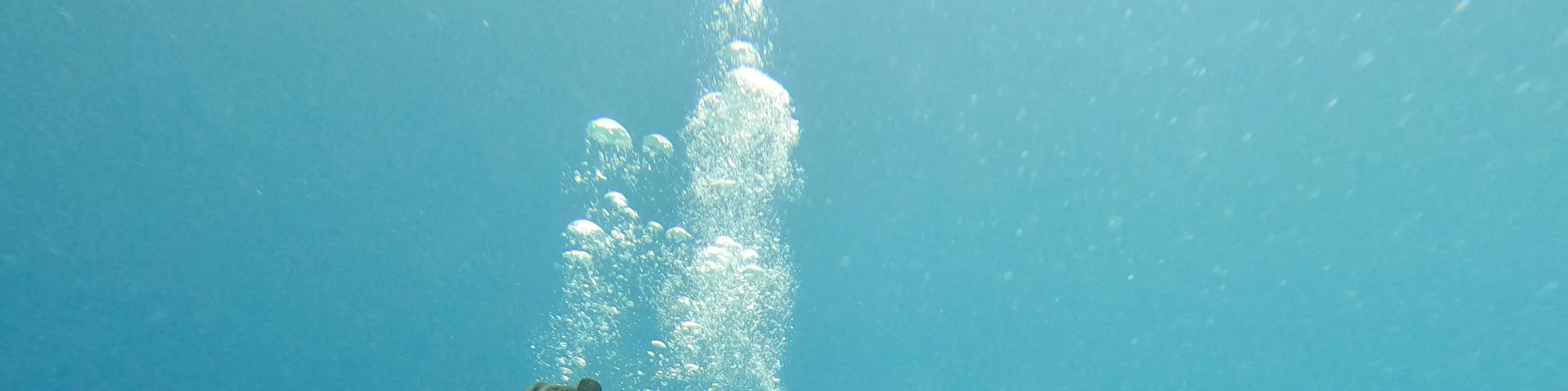 关岛水肺潜水和立式桨板课程