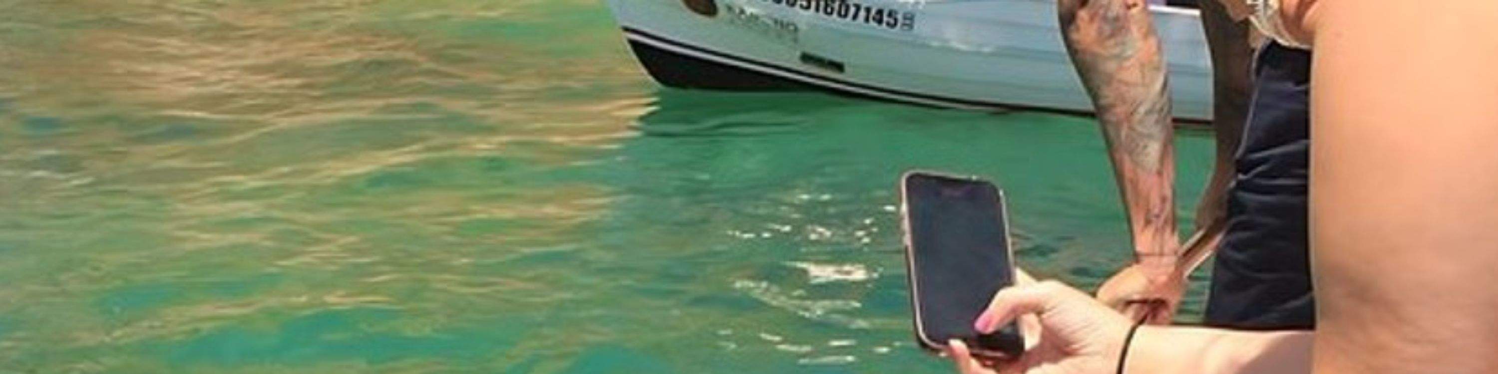 Abadikan detik-detik ajaib di bawah air, sekawan ikan yang berwarna-warni berenang tepat di hadapan mata anda