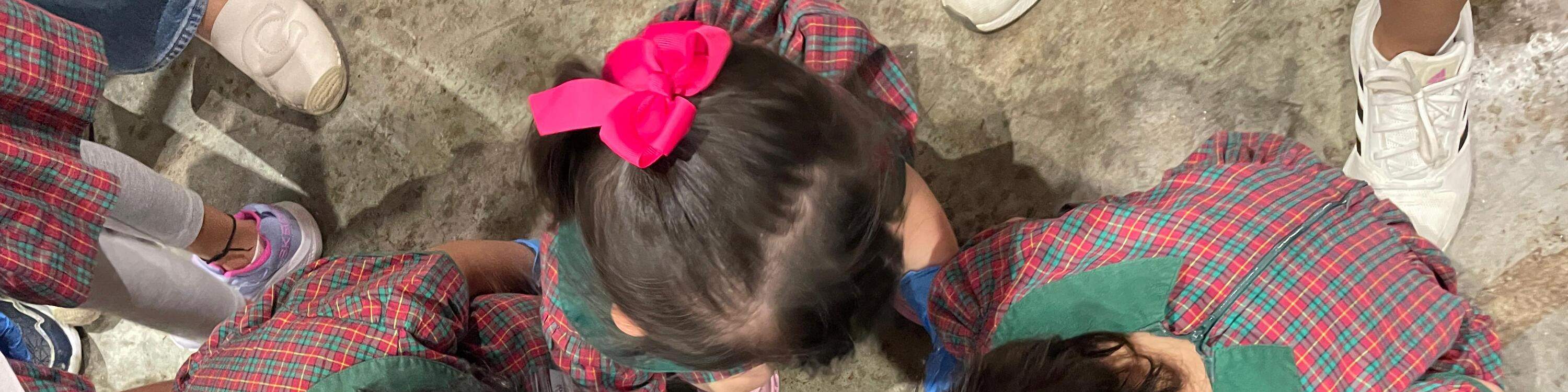 Tour Tham Quan Trang Trại Ruồi Lính Đen Lớn Nhất Singapore