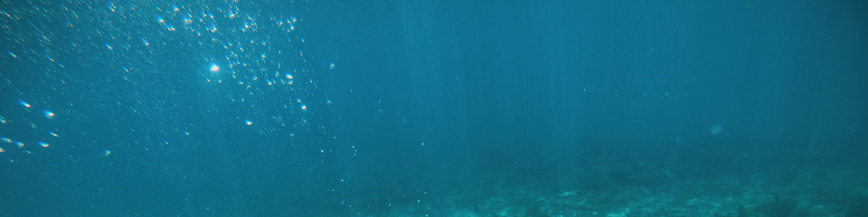Pengalaman Snorkeling atau Menyelam di Moon Bay dari Kota Kinabalu