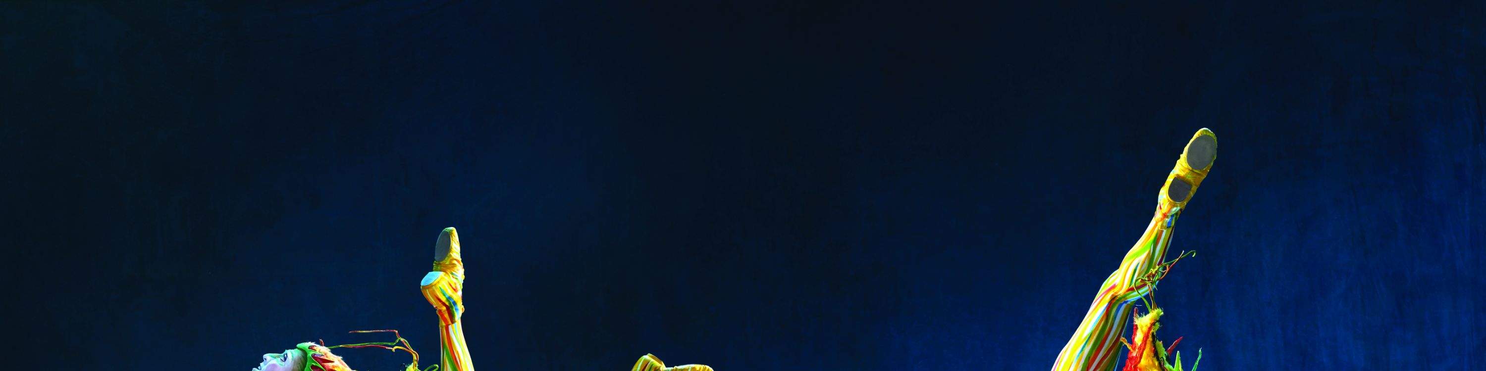 進入一個奇妙的世界，每一次跳躍和旋轉都講述著一個故事