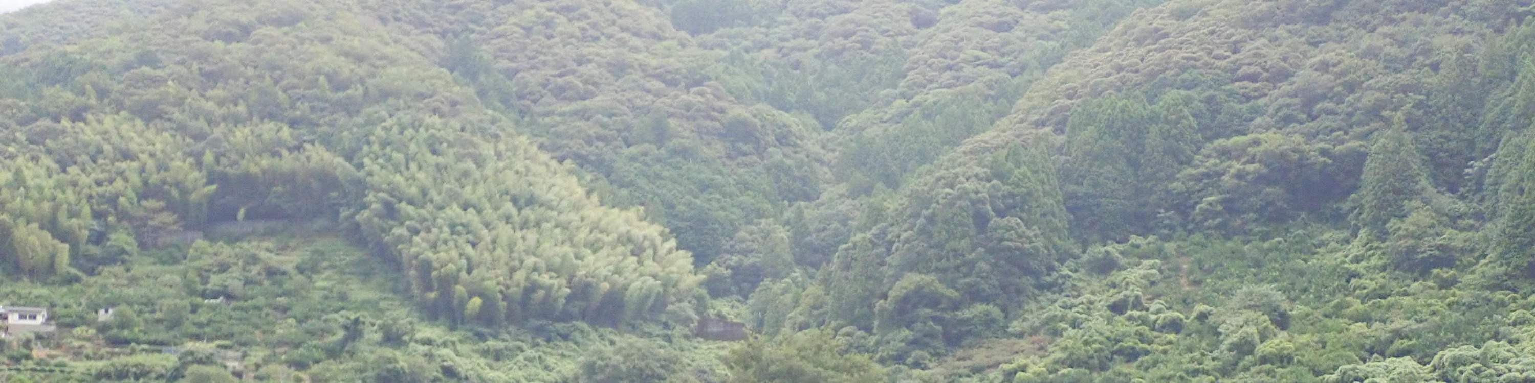 包装筏