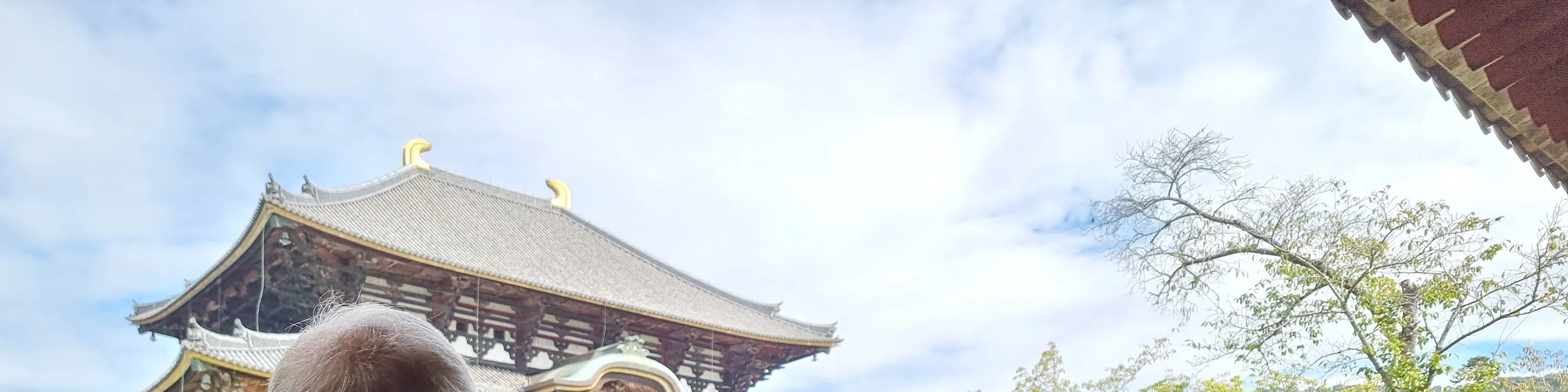 东大寺大佛殿和奈良啤酒奈良町啤酒厂徒步之旅与品尝（奈良）