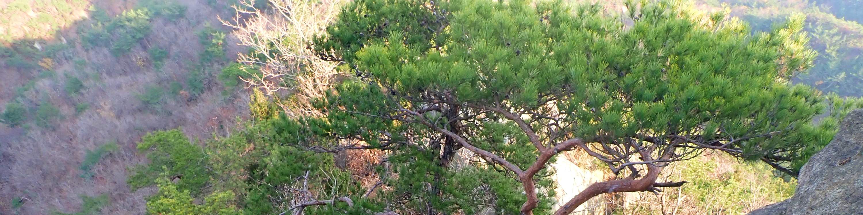 在首尔附近的山脊上体验真正的攀岩之旅