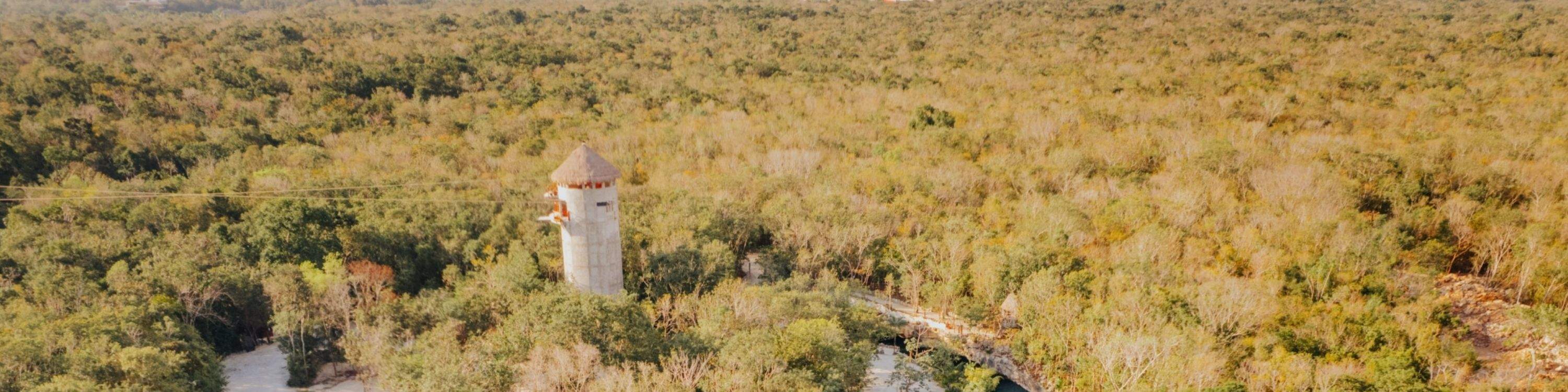멕시코에서 가장 아름다운 담수 수영장에서 자연과 교감하세요.
