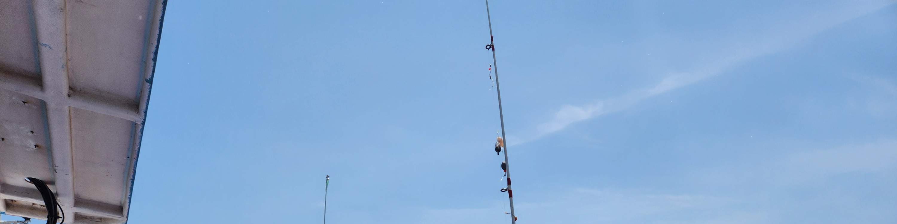 Tour di pesca in barca a Jeju con pranzo incluso