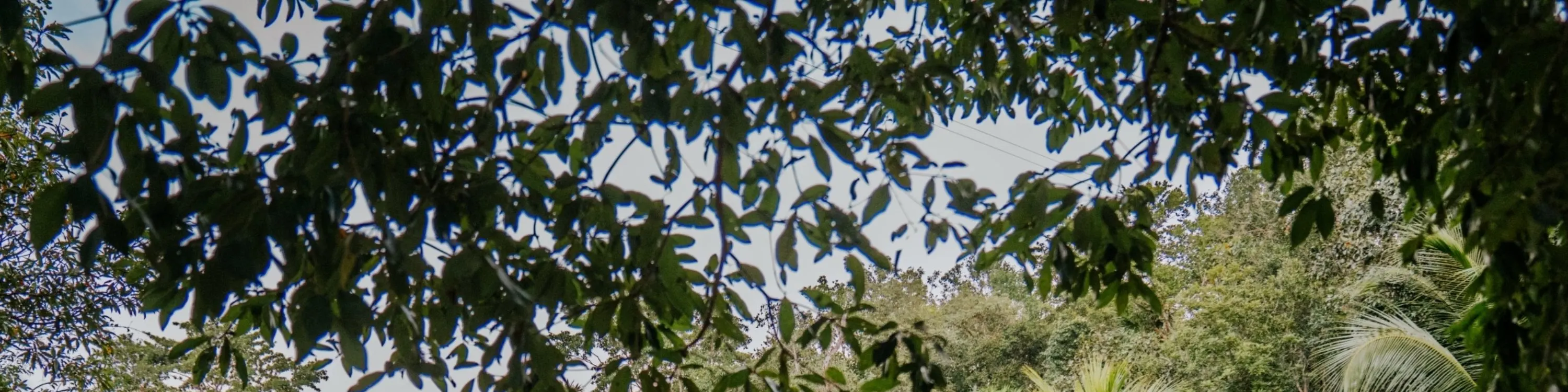 探索四个独特的天然井，每一个都拥有独特的魅力和神奇的氛围