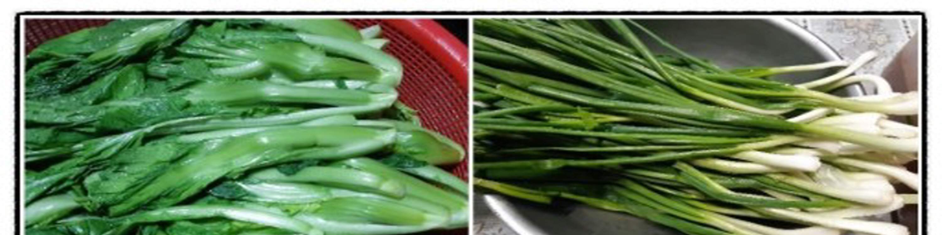 Kelas Memasak Kimchi Lobak Korea (Kkakdugi) di Busan