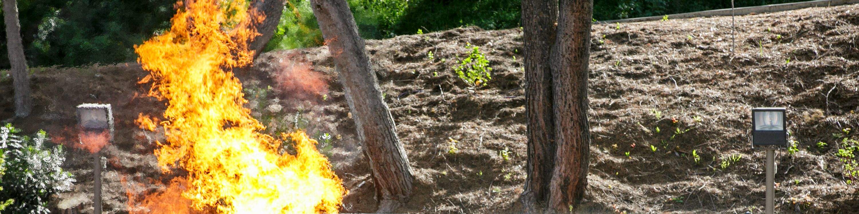 加州好萊塢環球影城門票