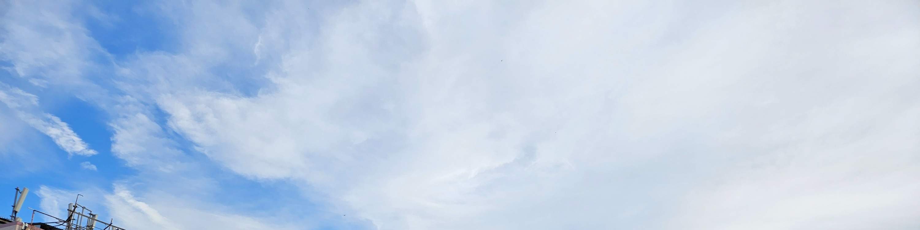 Tiket bot bersiar-siar Tai O