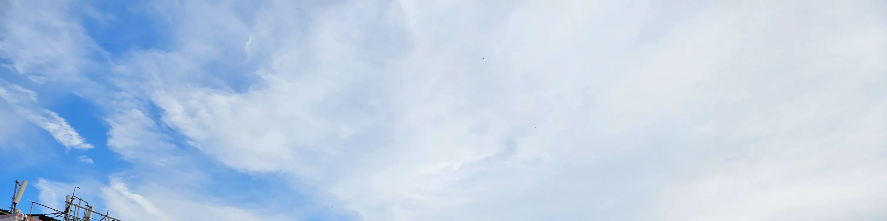 大澳观光小艇游船票