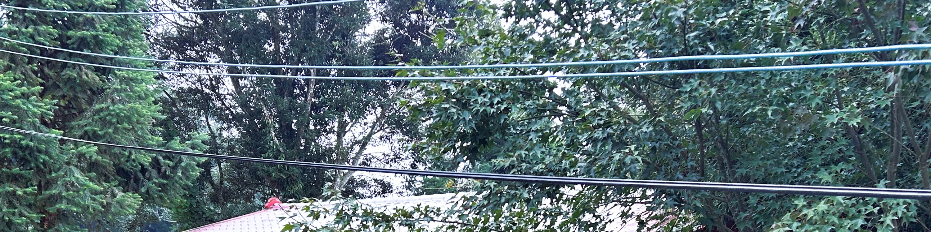 观星赏月营地 哈比屋