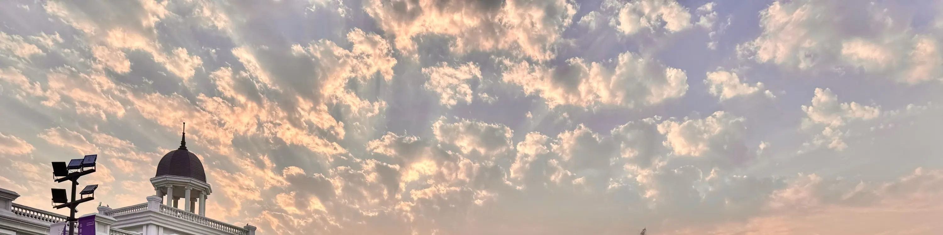 夕阳映照下的《魔法花园展》为园区复上童话般的魔幻气息