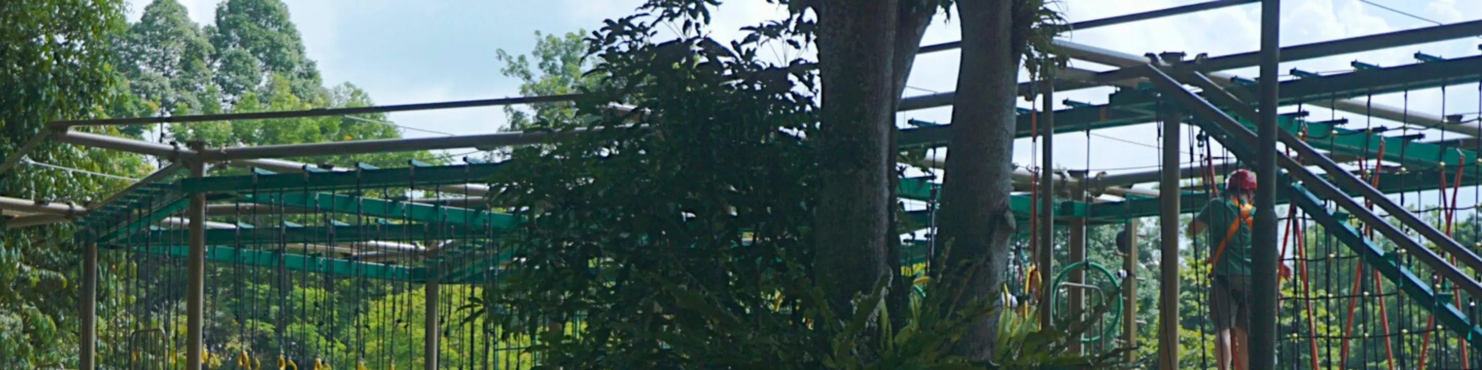Houbii Spot Rope Course At Zoo