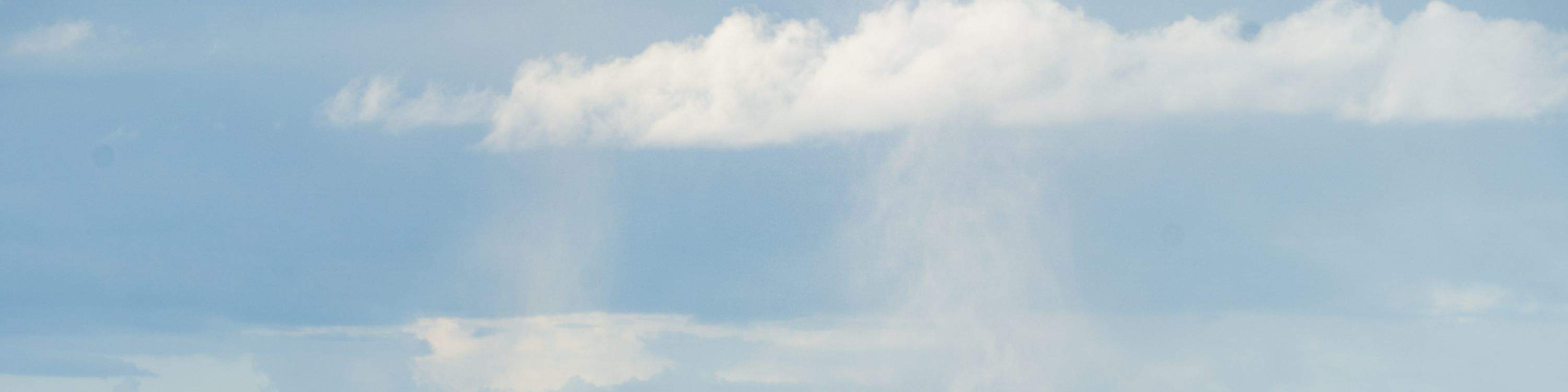 Брызги воды и рябь на поверхности указывают на присутствие кита поблизости.