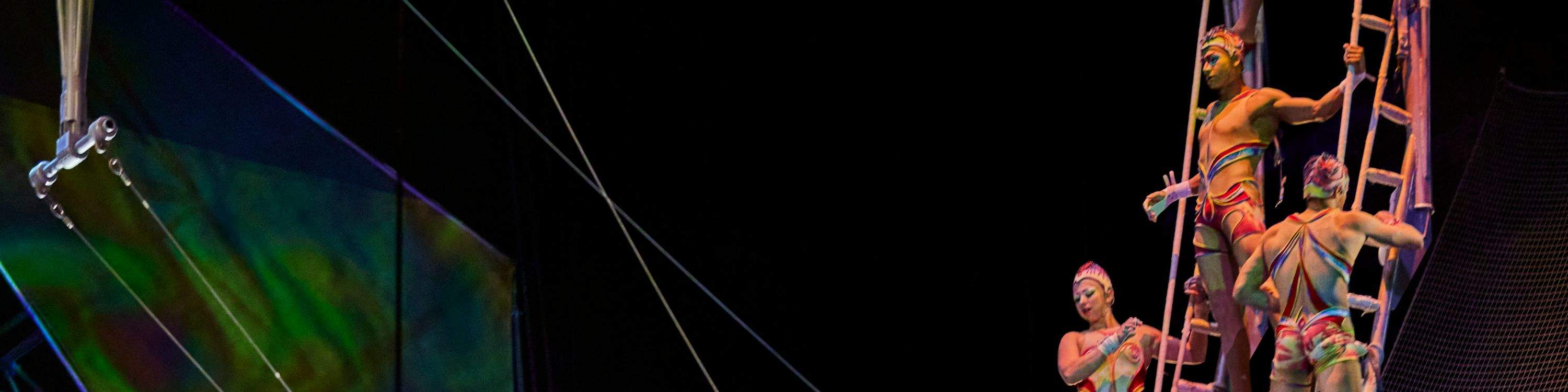 當雜技演員登上舞臺，在空中互相擺動時，請抓緊！