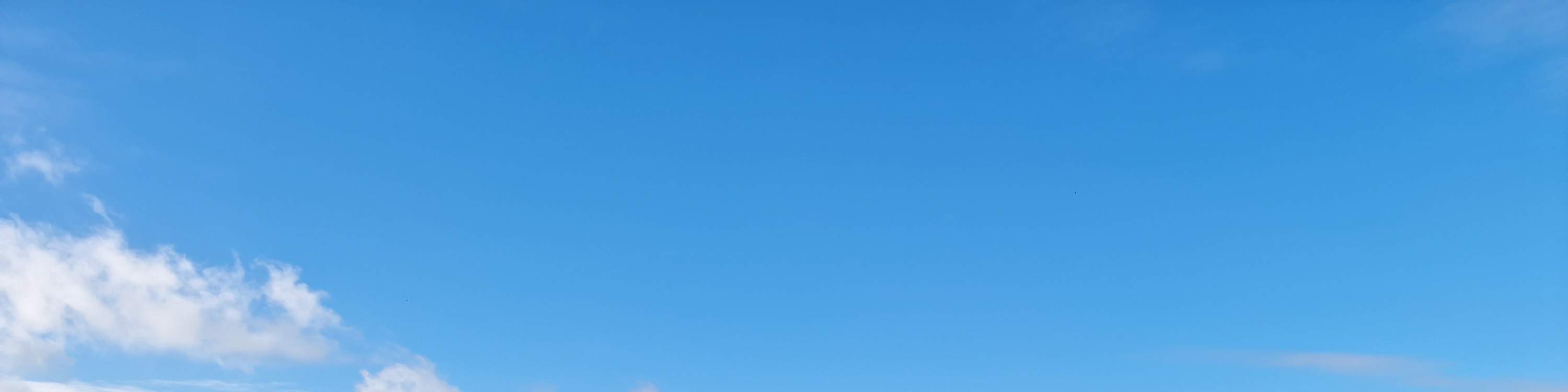 ทัวร์ชิมไวน์และเยี่ยมชมลุ่มแม่น้ำลัวร์หนึ่งวัน พร้อมอาหารกลางวัน (เดินทางจากปารีส)