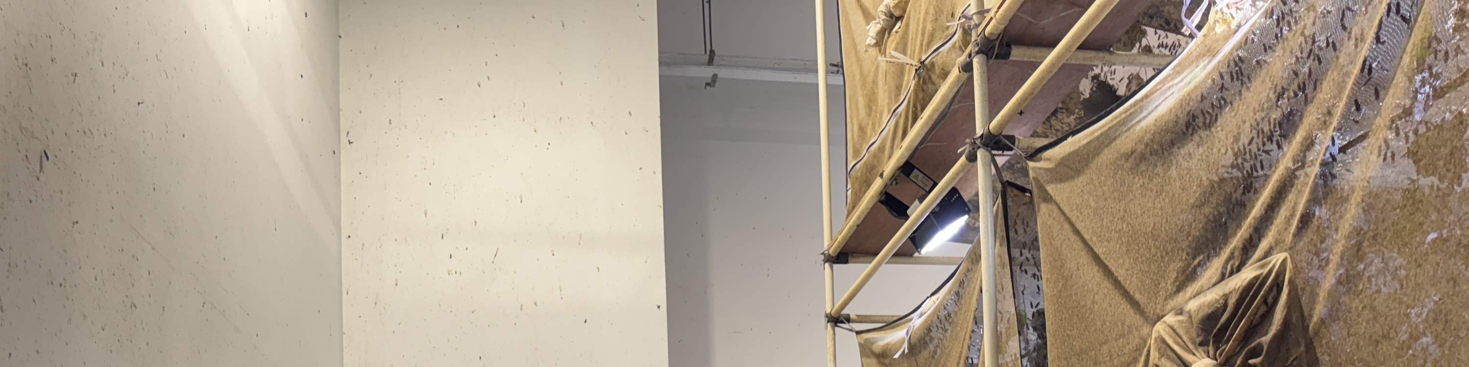 Singapurs größte Tour zur Black Soldier Fly Farm