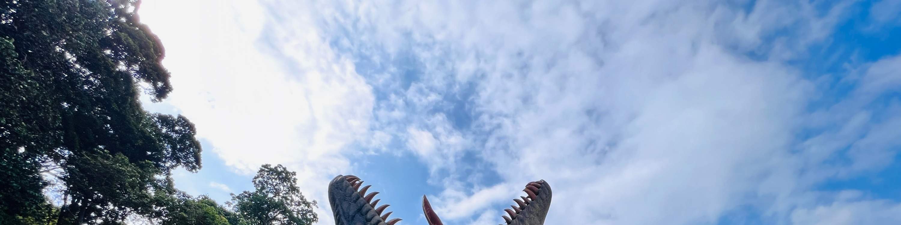 공룡을 만나보세요