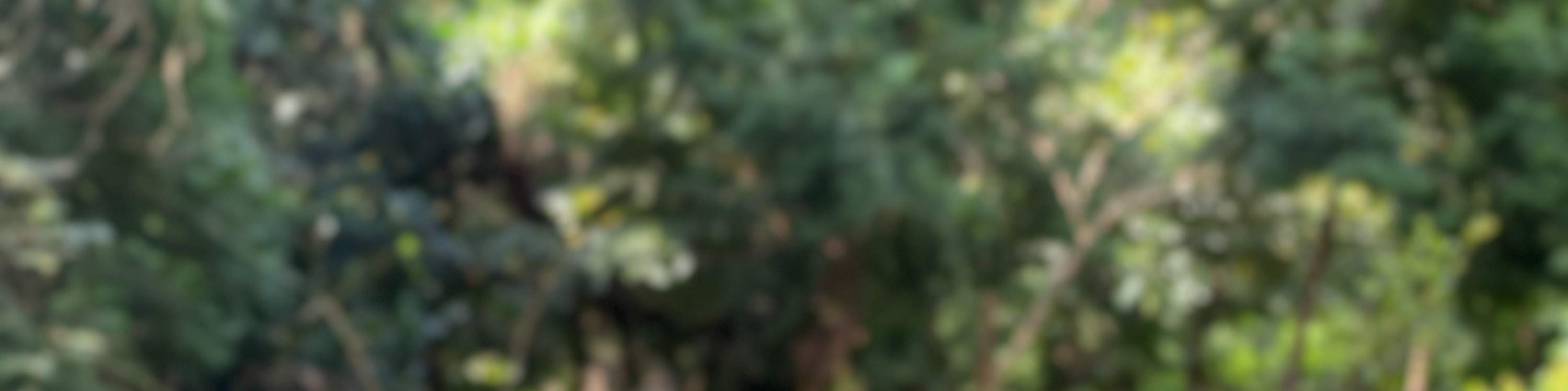 นิวไทเป: อูไหล ฟุตะริสึจิ ออนเซ็น・โรงอาบน้ำกลางแจ้ง・ห้องอาบน้ำวิวทิวทัศน์・ประสบการณ์มินิกอล์ฟ