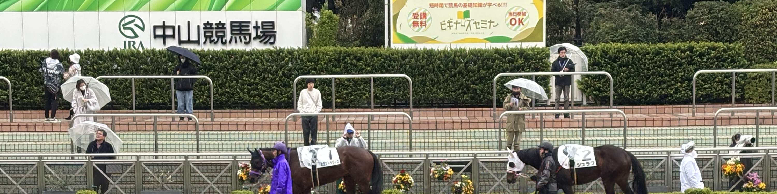 地元ファンと行く東京競馬ツアー（チケット付き）