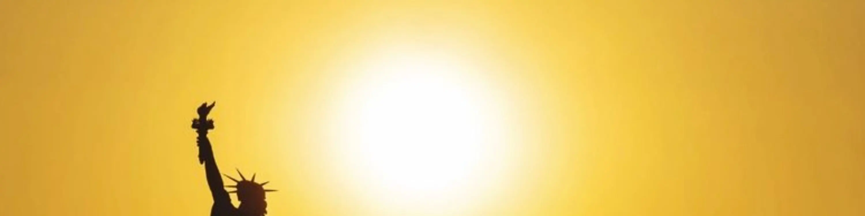 纽约城市灯光巡游体验