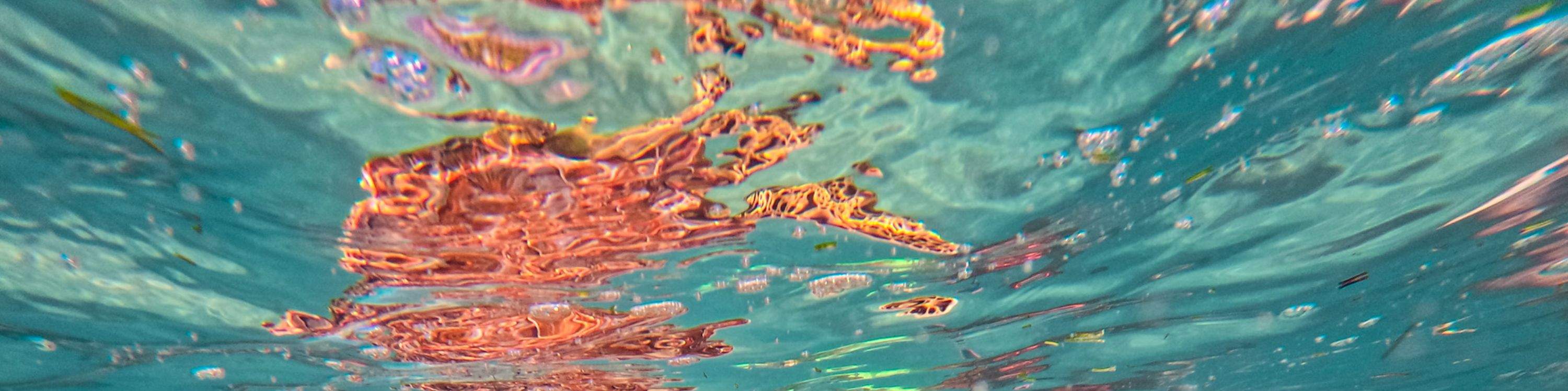 Тур к руинам майя Тулум и Коба с купанием в сеноте и сноркелингом в Мексике