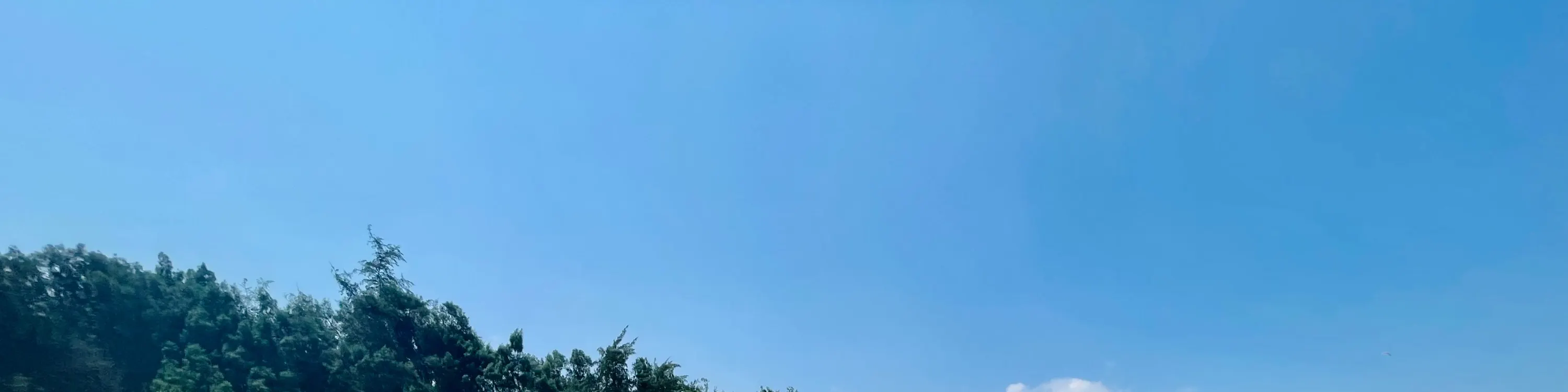 。