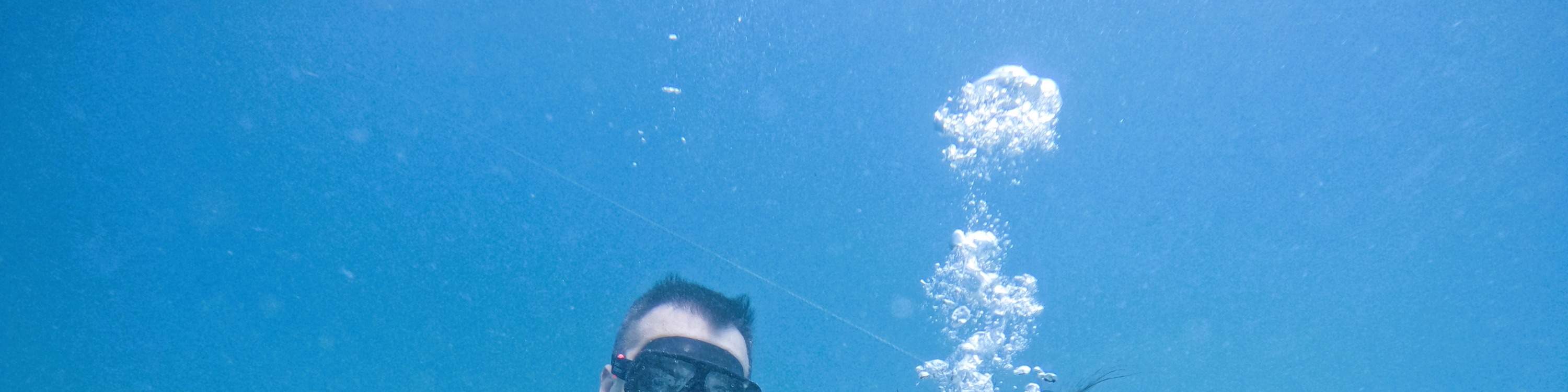 ドバイ発：スキューバダイビング＆シュノーケリング（BBQランチ付き）