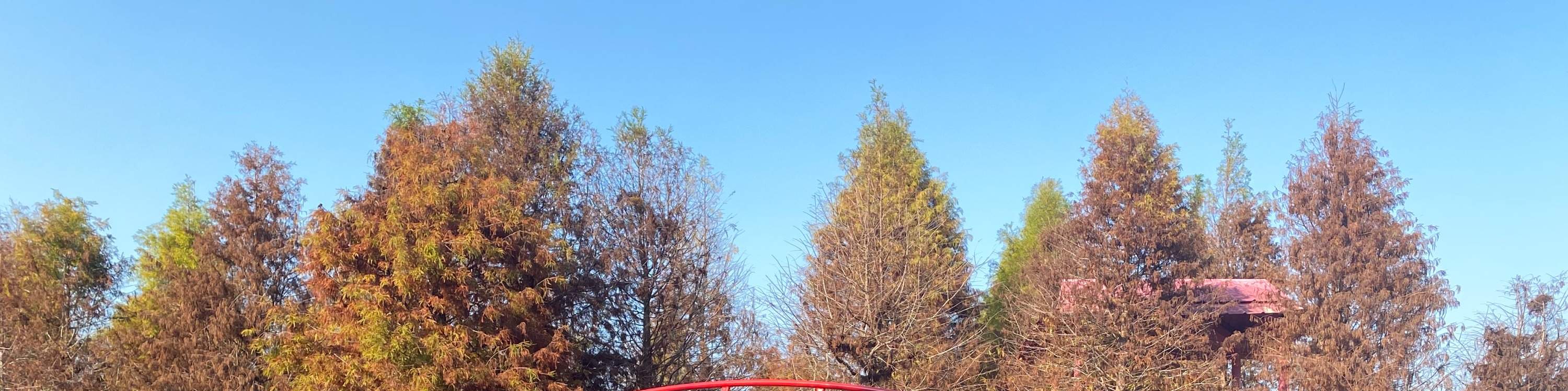 Kastil Pink Zhen Desa Tanduk Rusa