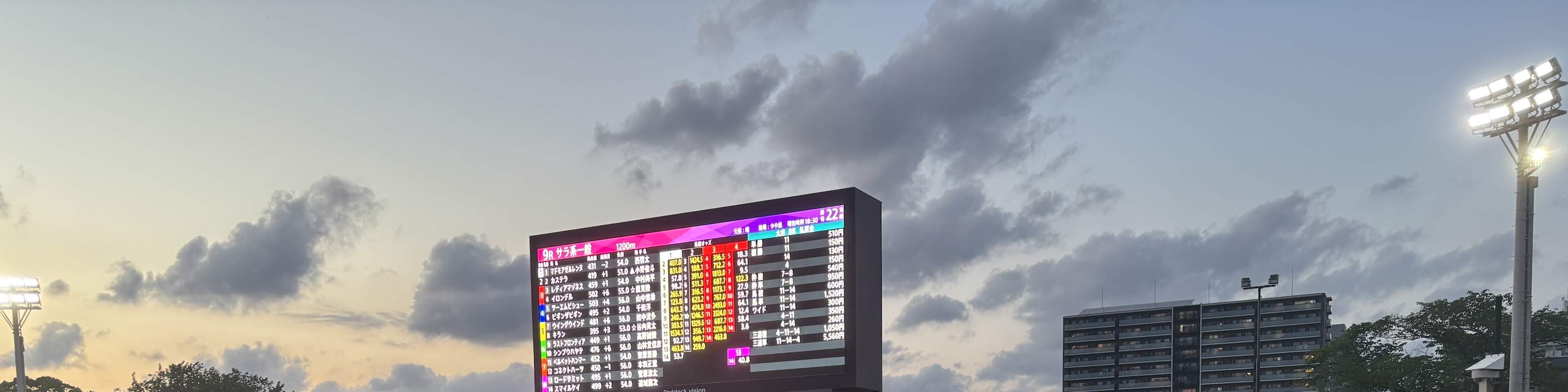 地元ファンと行く東京競馬ツアー（チケット付き）