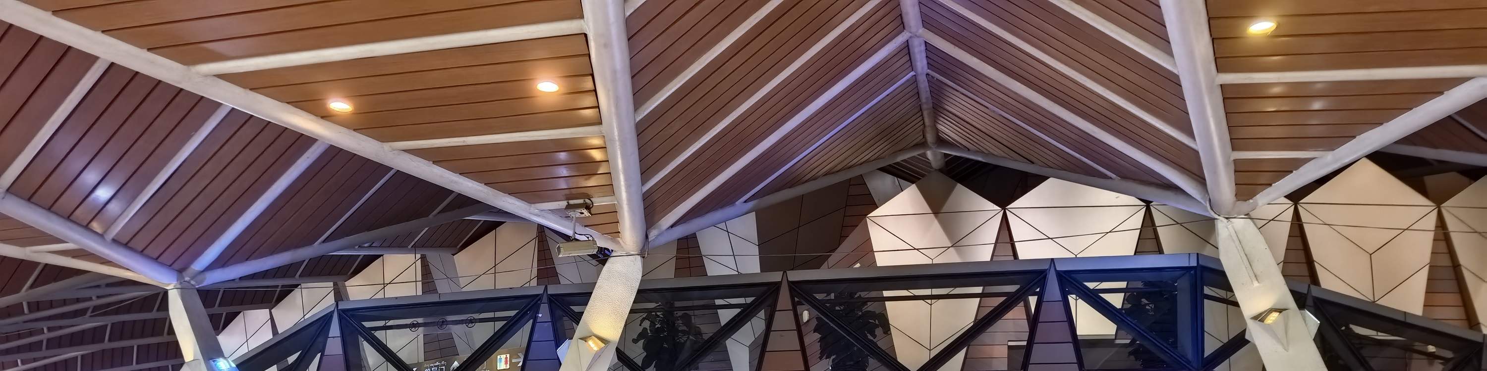 Peacock Princess Theater-New Dai Show