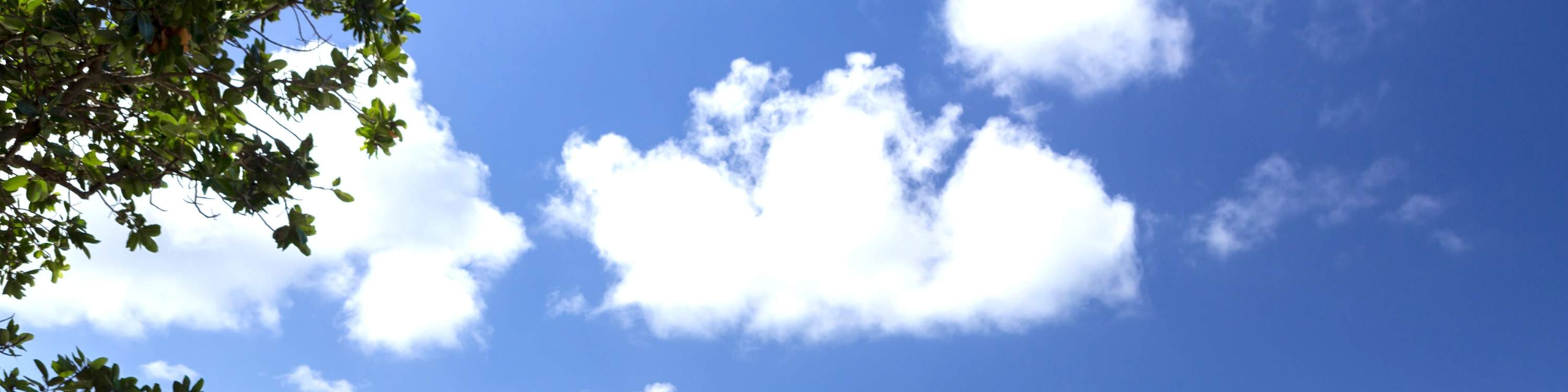 石垣島/1日 川平灣SUP/皮划艇&藍洞浮潛體驗（沖繩）