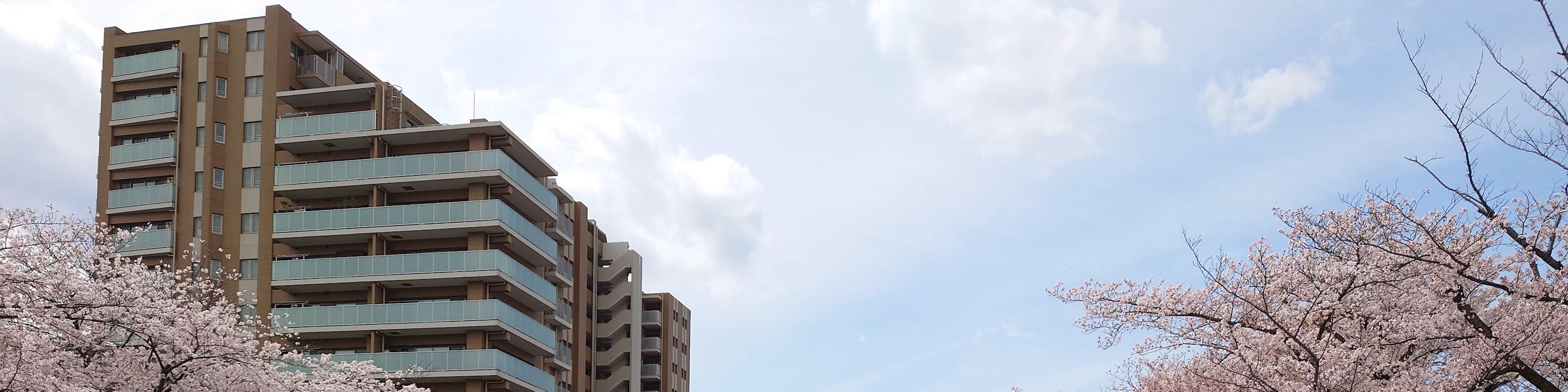 Tokyo Meguro River Cherry Blossom Viewing Cruise