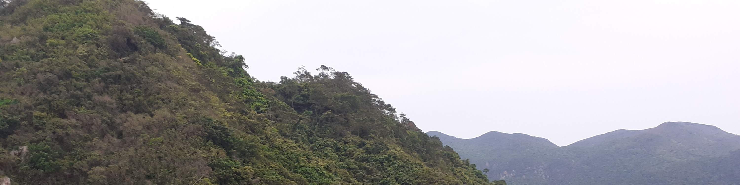 Tiket bot bersiar-siar Tai O