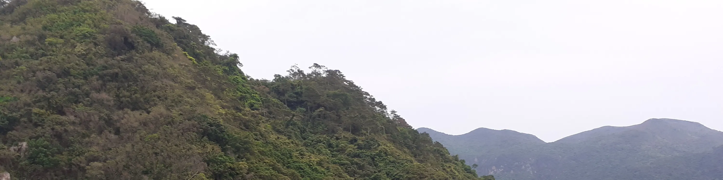 大澳观光小艇游船票