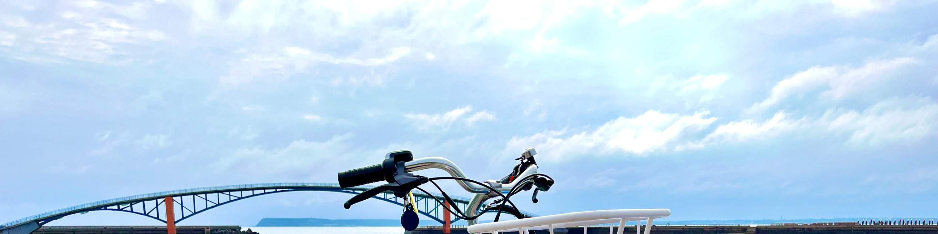 ประสบการณ์การขับขี่จักรยานไฟฟ้า Little Lark