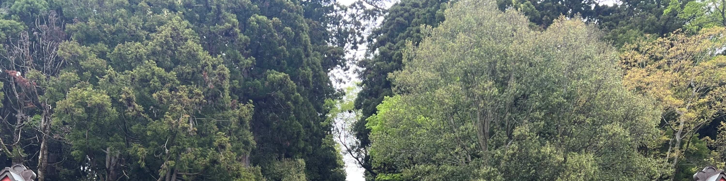 ทัวร์อาหารในเมืองชิโอกามะ (Shiogama), ญี่ปุ่น เมืองแห่งปลาทูน่าและซูชิชั้นนำ