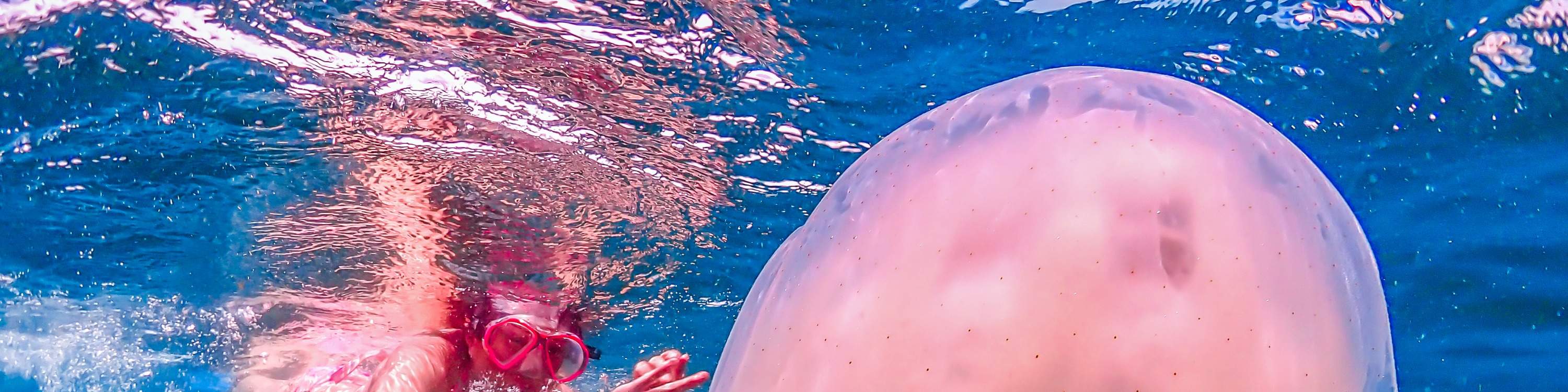 Esperienza all'Isola di Nemo con Foto con Drone e Pranzo