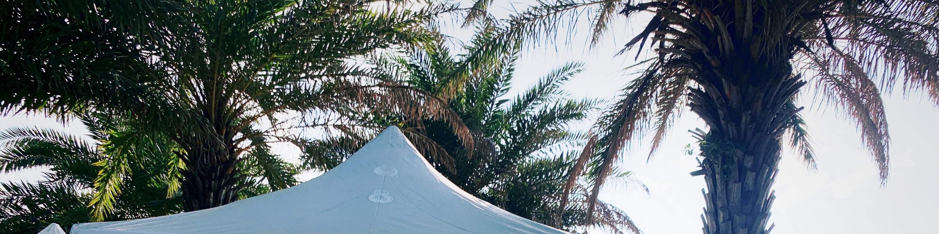 Địa điểm tập trung báo danh lướt sóng 🗣️