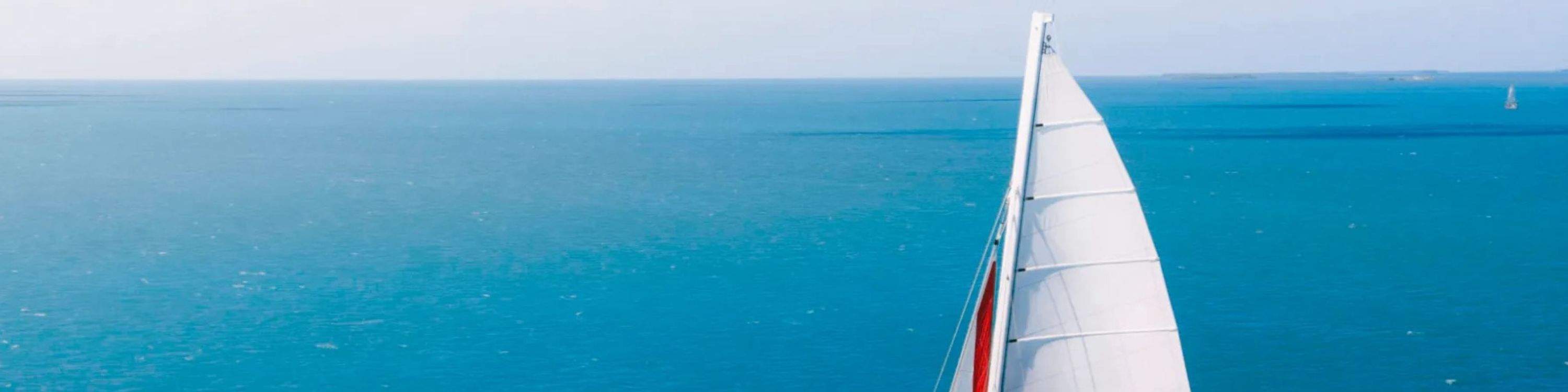 Disfrute de un delicioso desayuno y mimosas ilimitadas en el tour de esnórquel matutino.